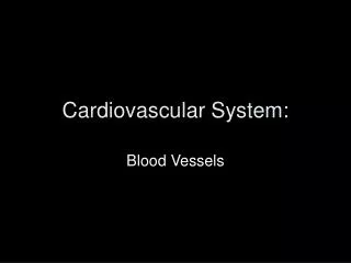 Cardiovascular System: