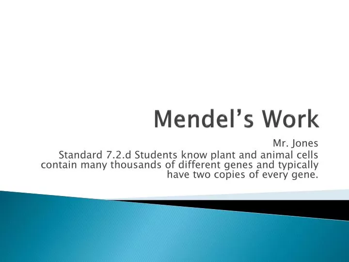 mendel s work