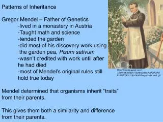 Patterns of Inheritance