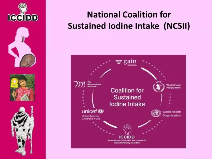 national coalition for sustained iodine intake ncsii