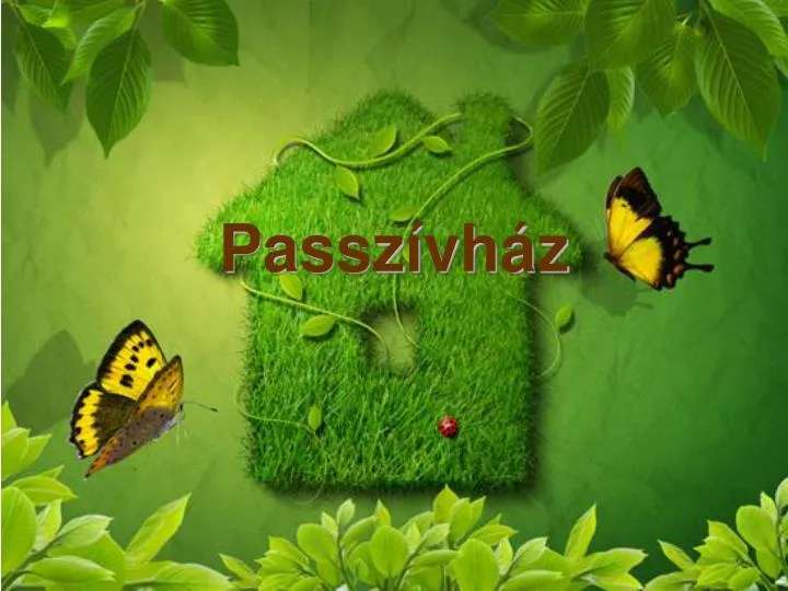 passz vh z