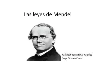 las leyes de m endel