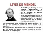 LEYES DE MENDEL - slide 1