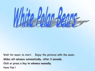 White Polar Bears