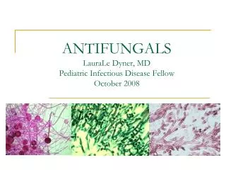 ANTIFUNGALS LauraLe Dyner, MD Pediatric Infectious Disease Fellow October 2008