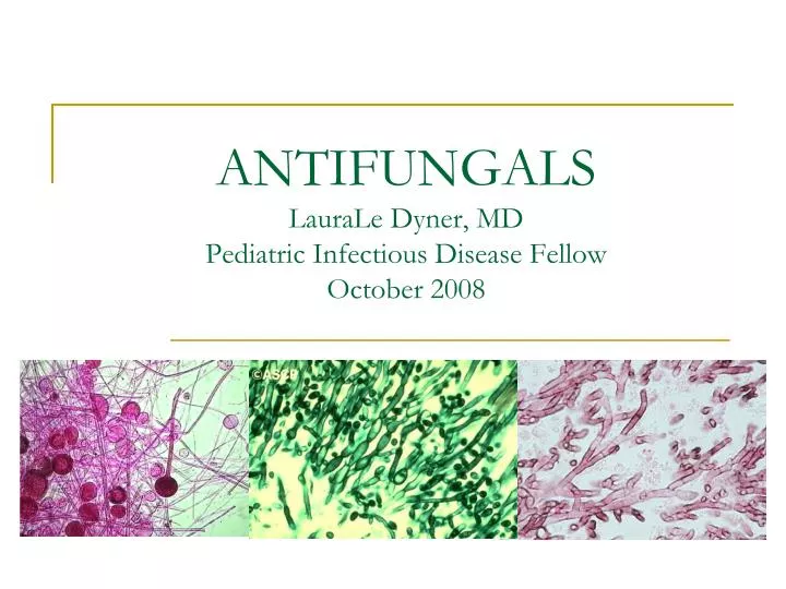 antifungals laurale dyner md pediatric infectious disease fellow october 2008