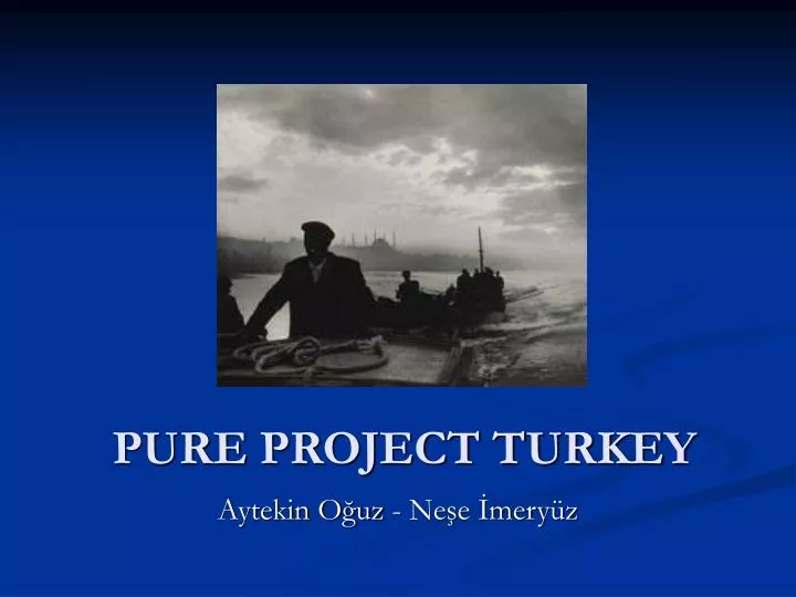 pure project turkey