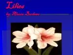 Lilies by: Alexia Bordeau - slide 1