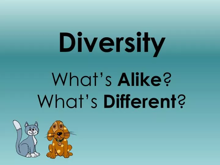 diversity what s alike what s different