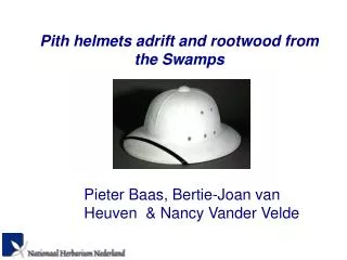 Pith helmets adrift and rootwood from the Swamps