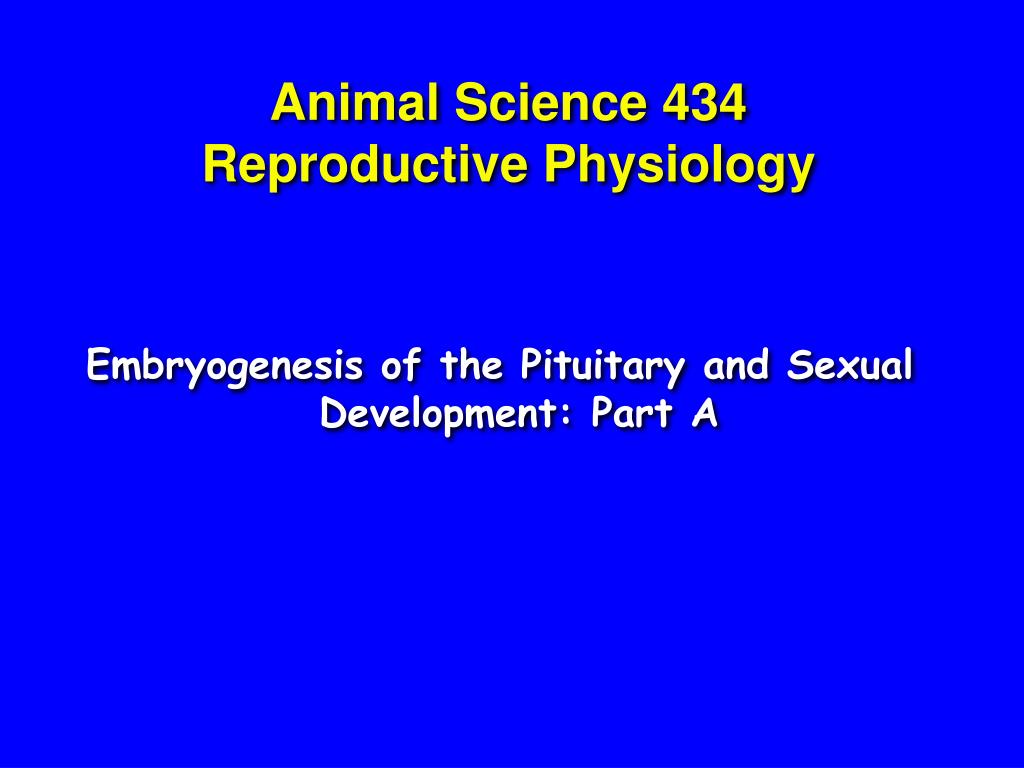 PPT - Animal Science 434 Reproductive Physiology PowerPoint ...