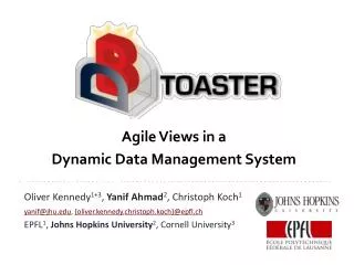 Agile Views in a Dynamic Data Management System