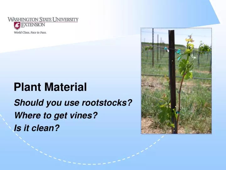 plant material
