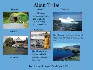 Aleut Tribe