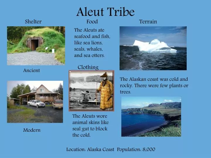 aleut tribe