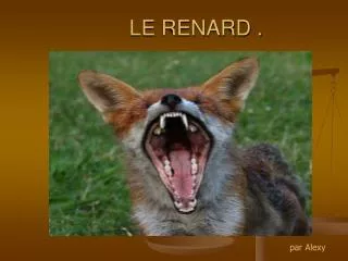 le renard