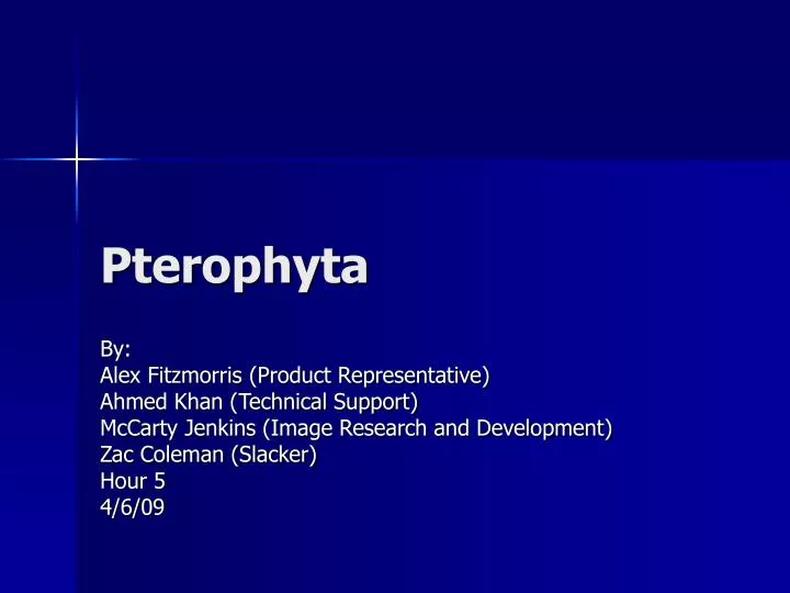 pterophyta