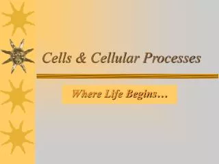 Cells &amp; Cellular Processes