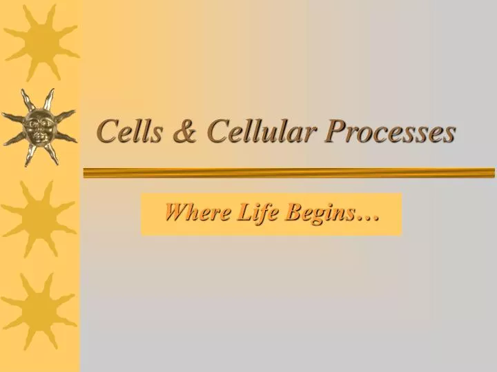 cells cellular processes