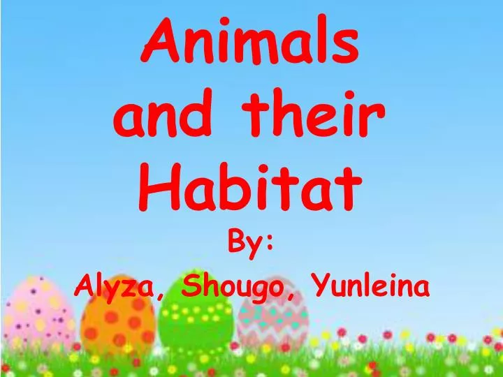 animals and their habitat