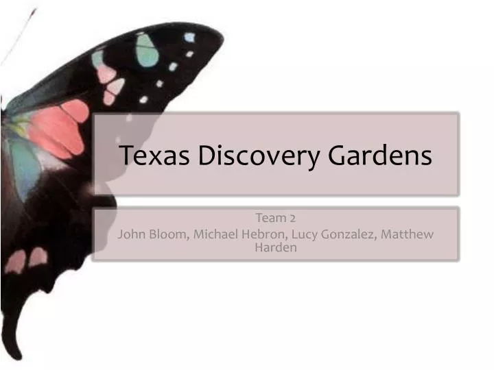texas discovery gardens