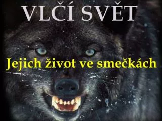 vl sv t