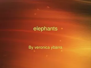 elephants