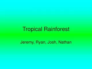 tropical rainforest
