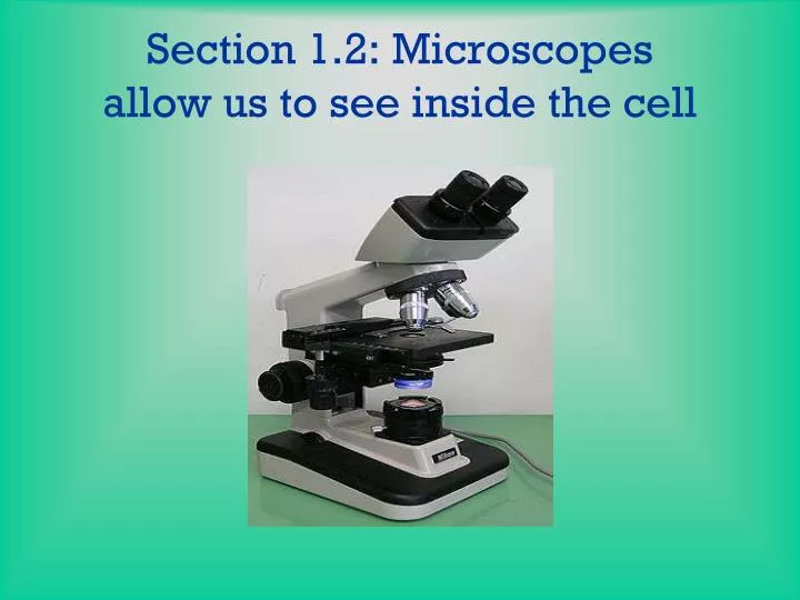 section 1 2 microscopes allow us to see inside the cell