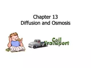 Chapter 13 Diffusion and Osmosis