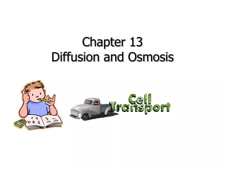 chapter 13 diffusion and osmosis