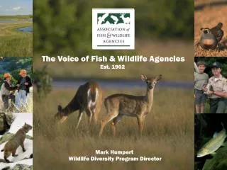 The Voice of Fish &amp; Wildlife Agencies