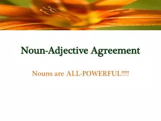 Noun-Adjective Agreement