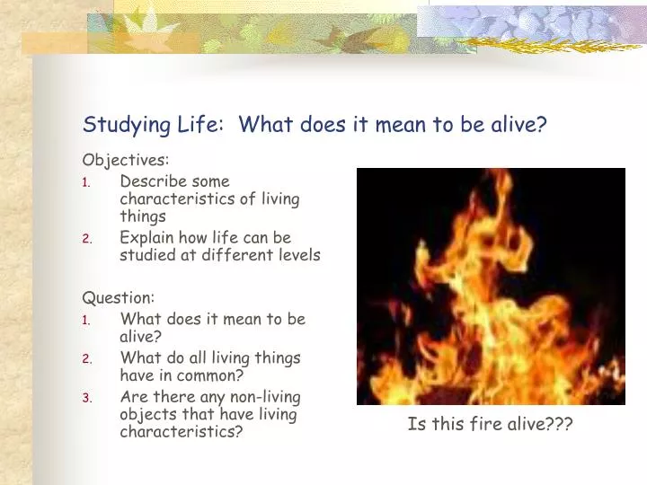 studying life what does it mean to be alive