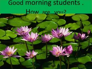 G ood morning students . H ow are you?