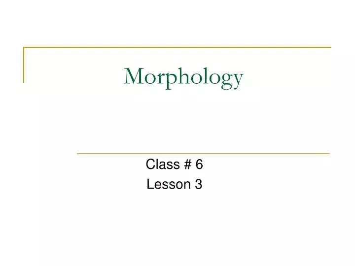 morphology