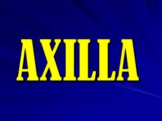 AXILLA