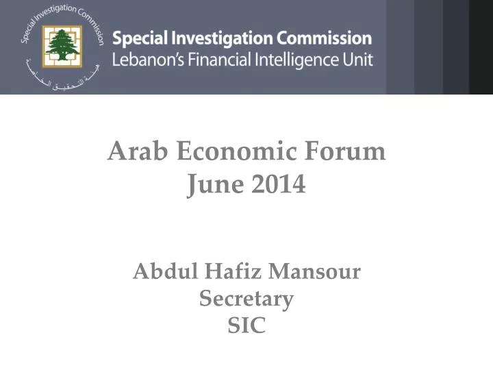 arab economic forum june 2014