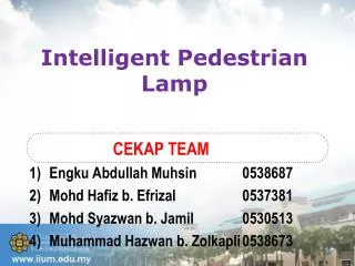 Intelligent Pedestrian Lamp