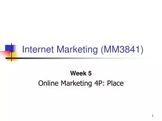 Internet Marketing (MM3841)
