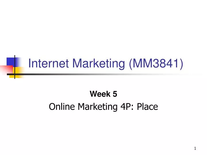 internet marketing mm3841
