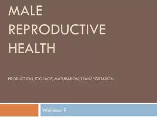 Male Reproductive Health Production, Storage, maturation, transportation