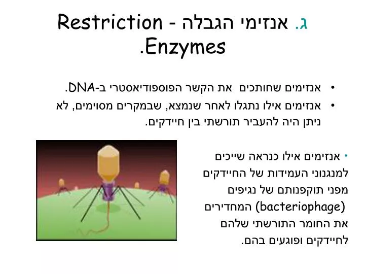 restriction enzymes