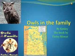 Owls in the family
