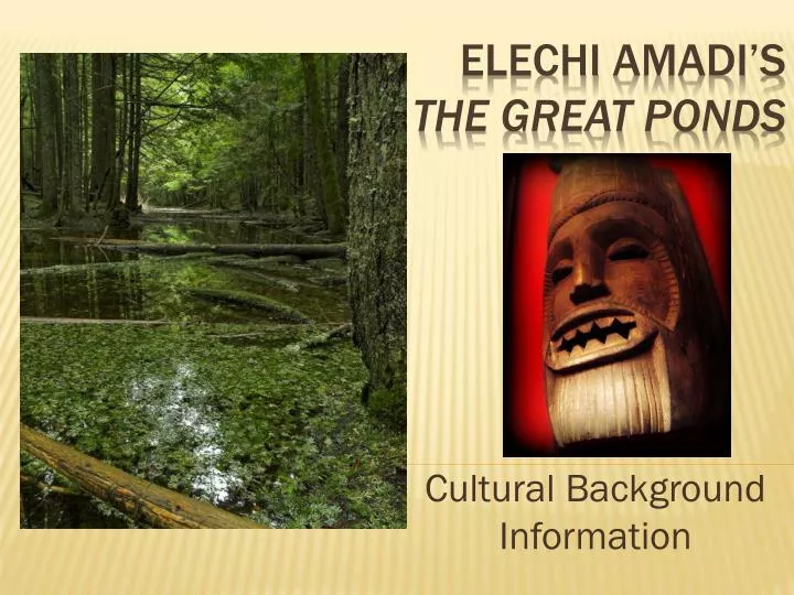 cultural background information