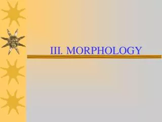 III . MORPHOLOGY