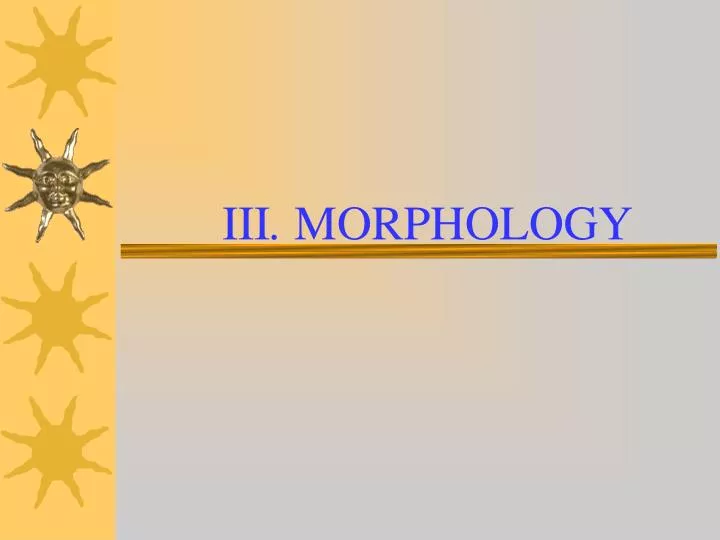 iii morphology