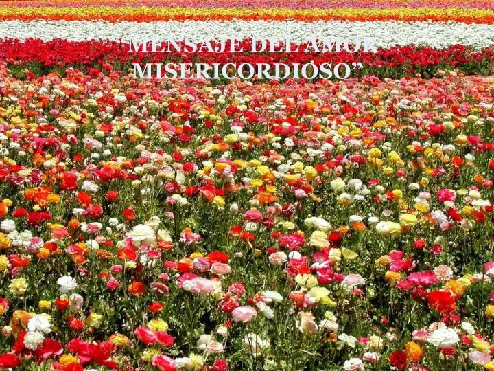 mensaje del amor misericordioso