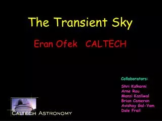 The Transient Sky