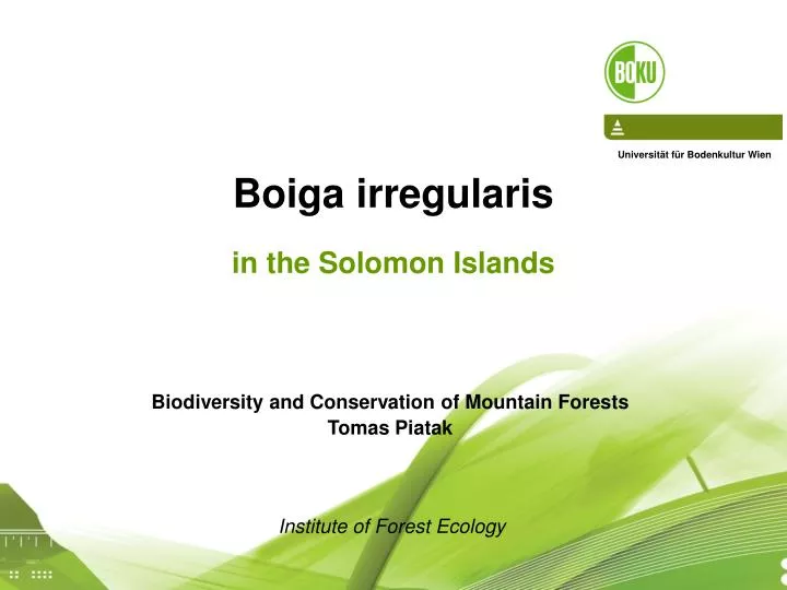 boiga irregularis in the solomon islands